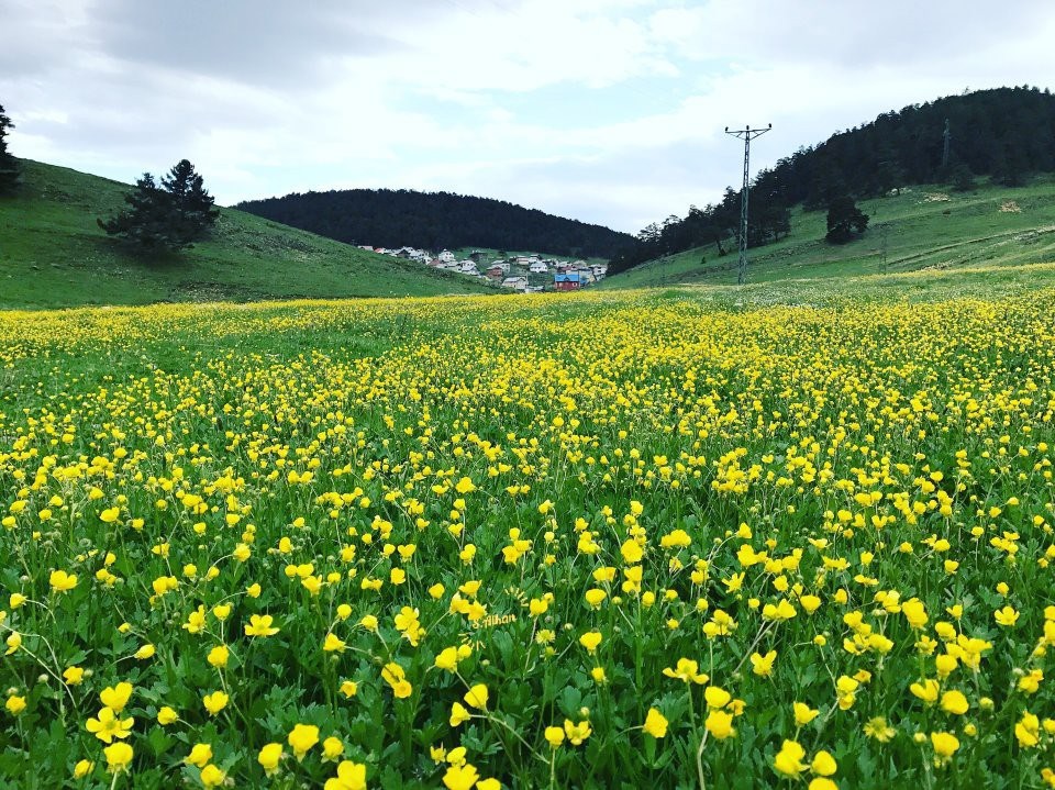 Eğriçimen Yaylası