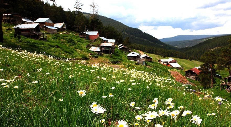 Eğriçimen Yaylası