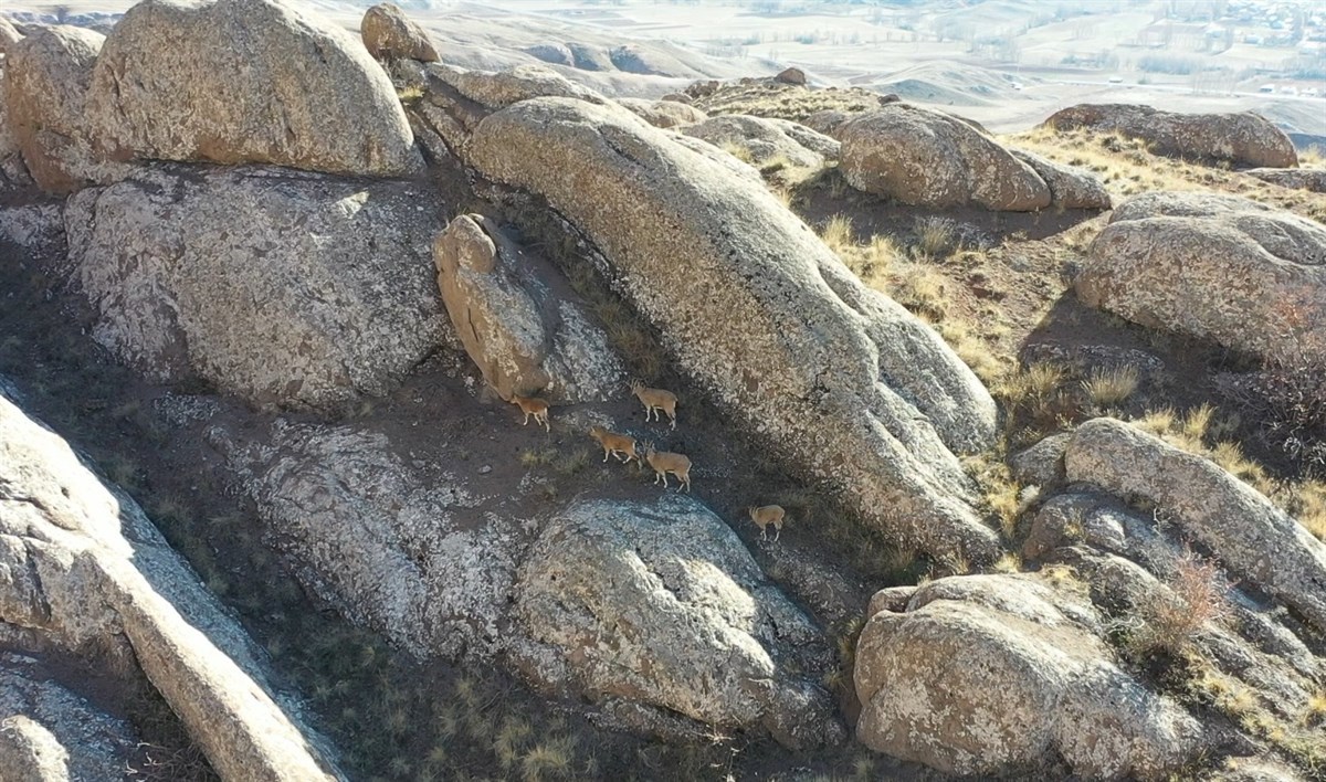 Emirhan Kayalıkları