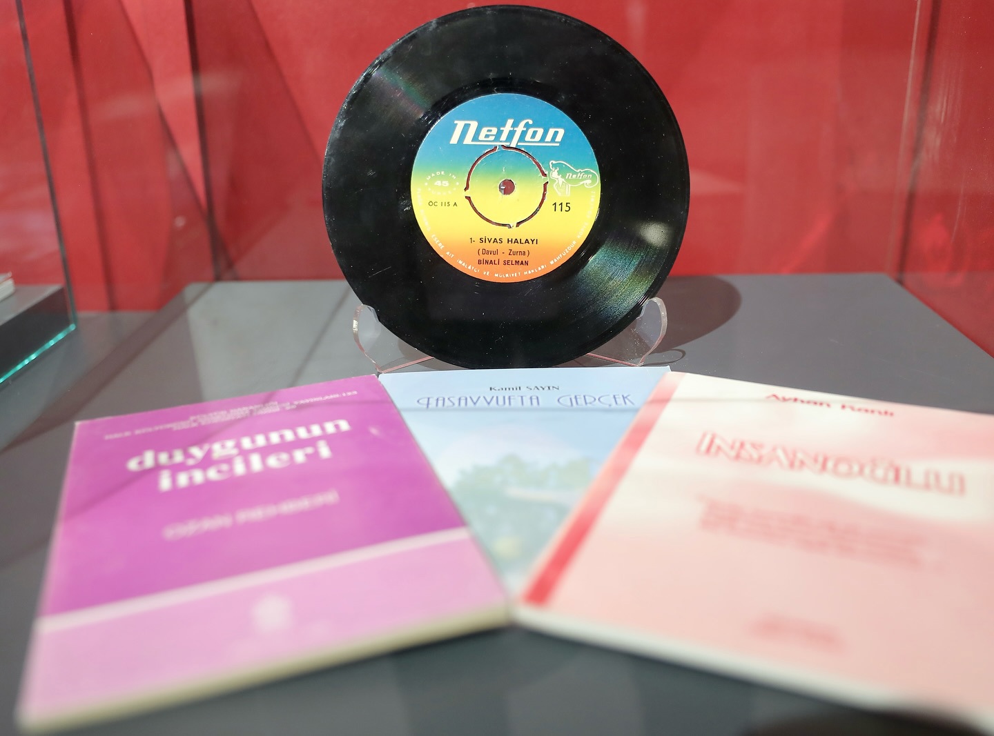 Aşık Veysel Şatıroğlu ve Yöresel Müzik Aletleri Müzesi