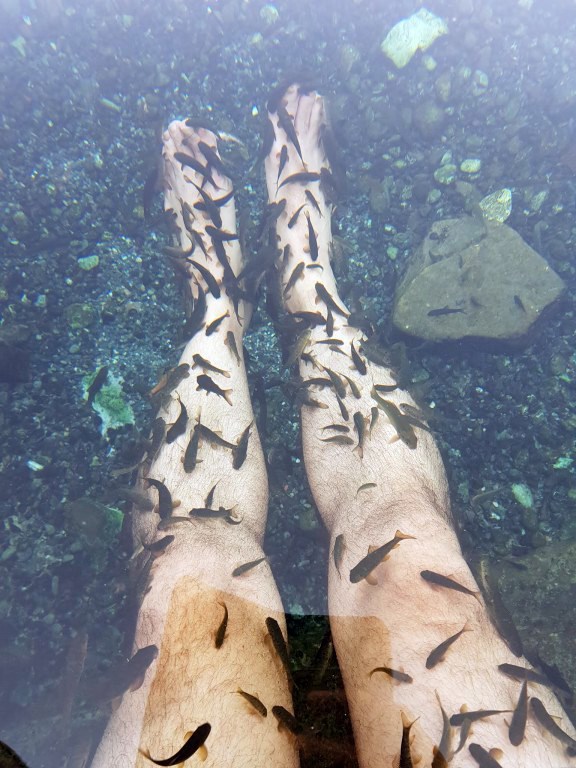 Kangal Balıklı Kaplıca