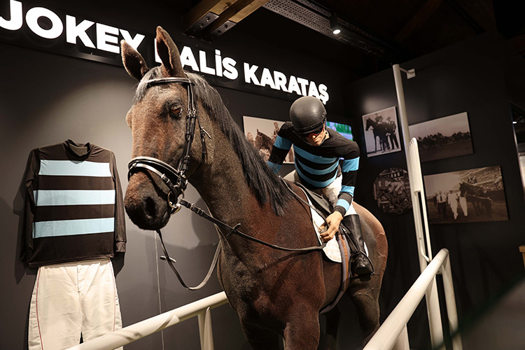 Hamidiye Millet Bahçesi Savaş Atları Müzesi