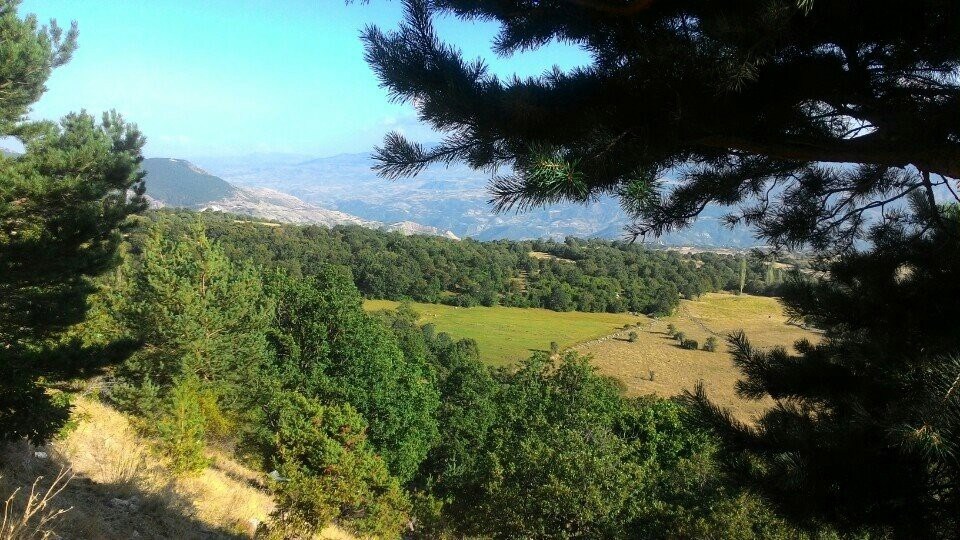 Eğriçimen Yaylası