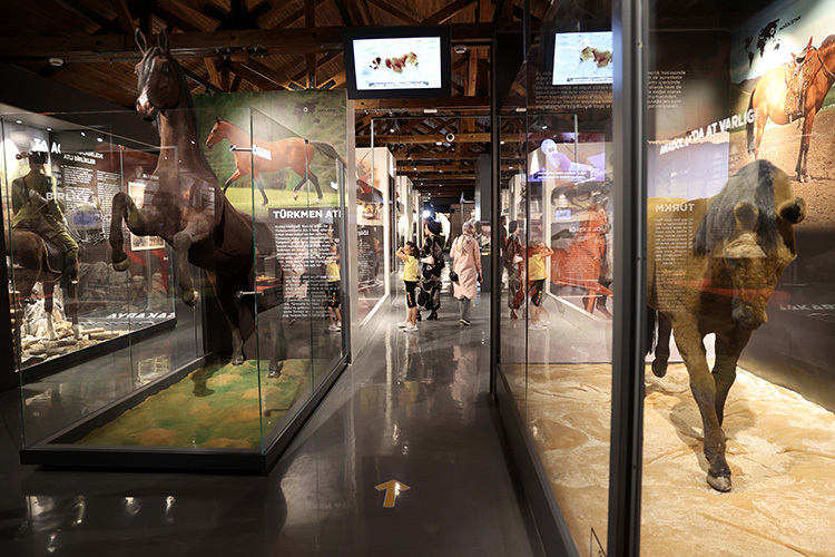 Hamidiye Millet Bahçesi Savaş Atları Müzesi