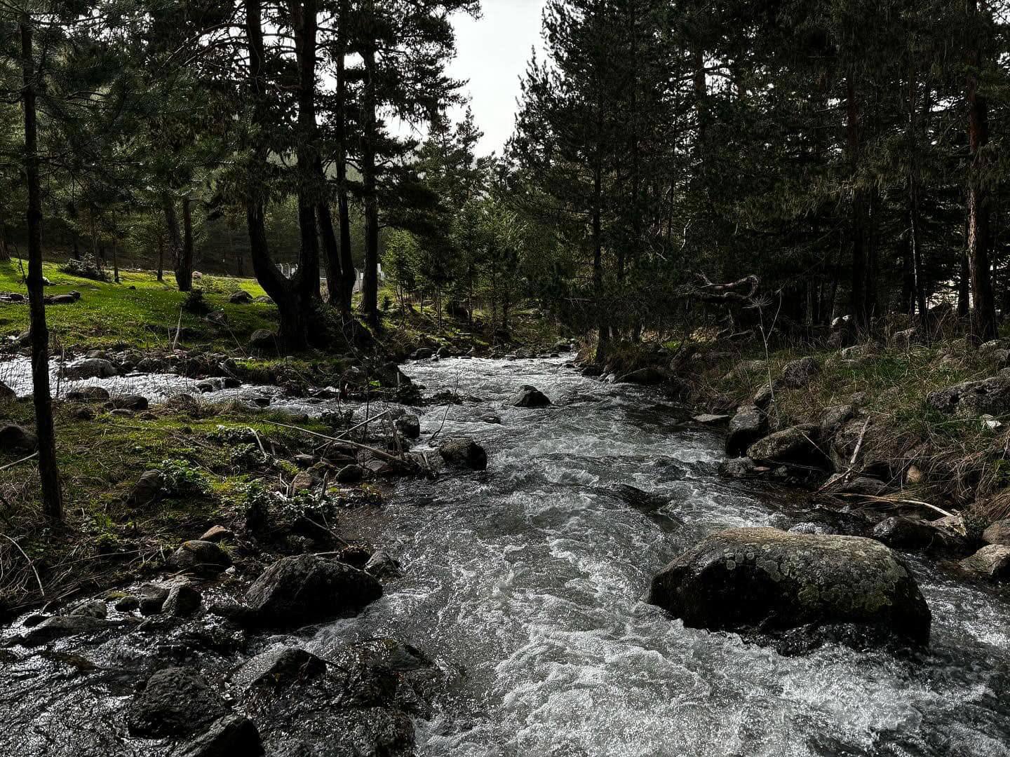 Koyulhisar Tekke Deresi